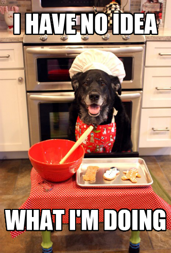 /img/dog-chef.png